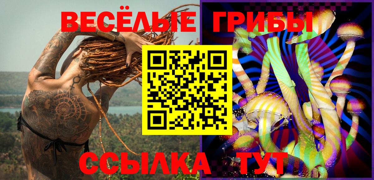 Псилоцибиновые грибы мухоморы Биробиджан