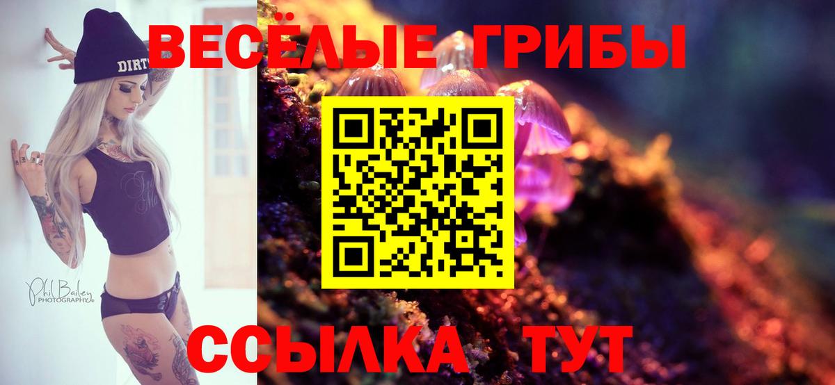 Псилоцибиновые грибы прущие грибы  Псилоцибиновые грибы Cubensis  Вход с VPN  Биробиджан 